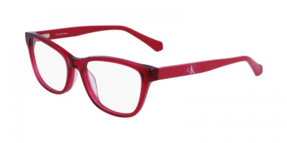 CALVIN KLEIN JEANS CKJ22645 Eyeglasses - view 4
